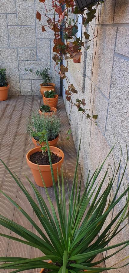 O Terraco Florido Lägenhet Viseu Exteriör bild